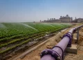 Abwasserwiederverwendung in Landwirtschaft und städtischen Räumen