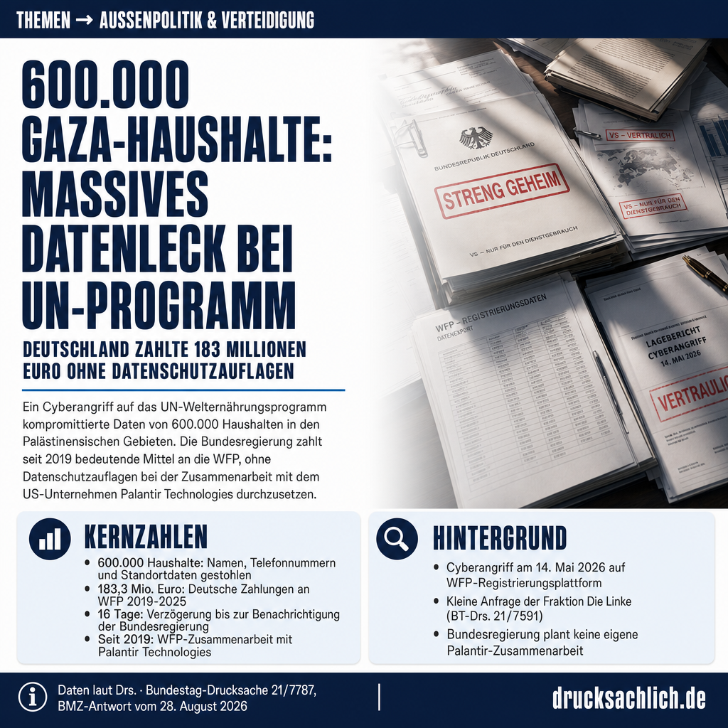 Infografik BT-Drs. 21/7787