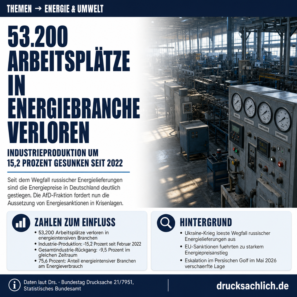 Energiesanktionen: AfD fordert Aufhebung in Krisenzeiten