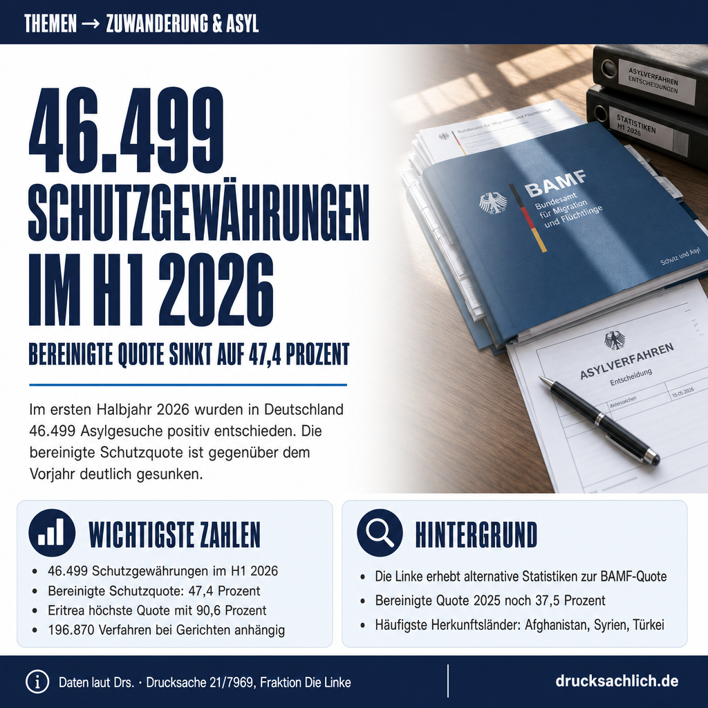 Infografik BT-Drs. 21/7969