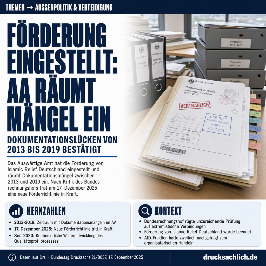 Förderung eingestellt: Was das AA nach dem Rechnungshof-Rüffel änderte