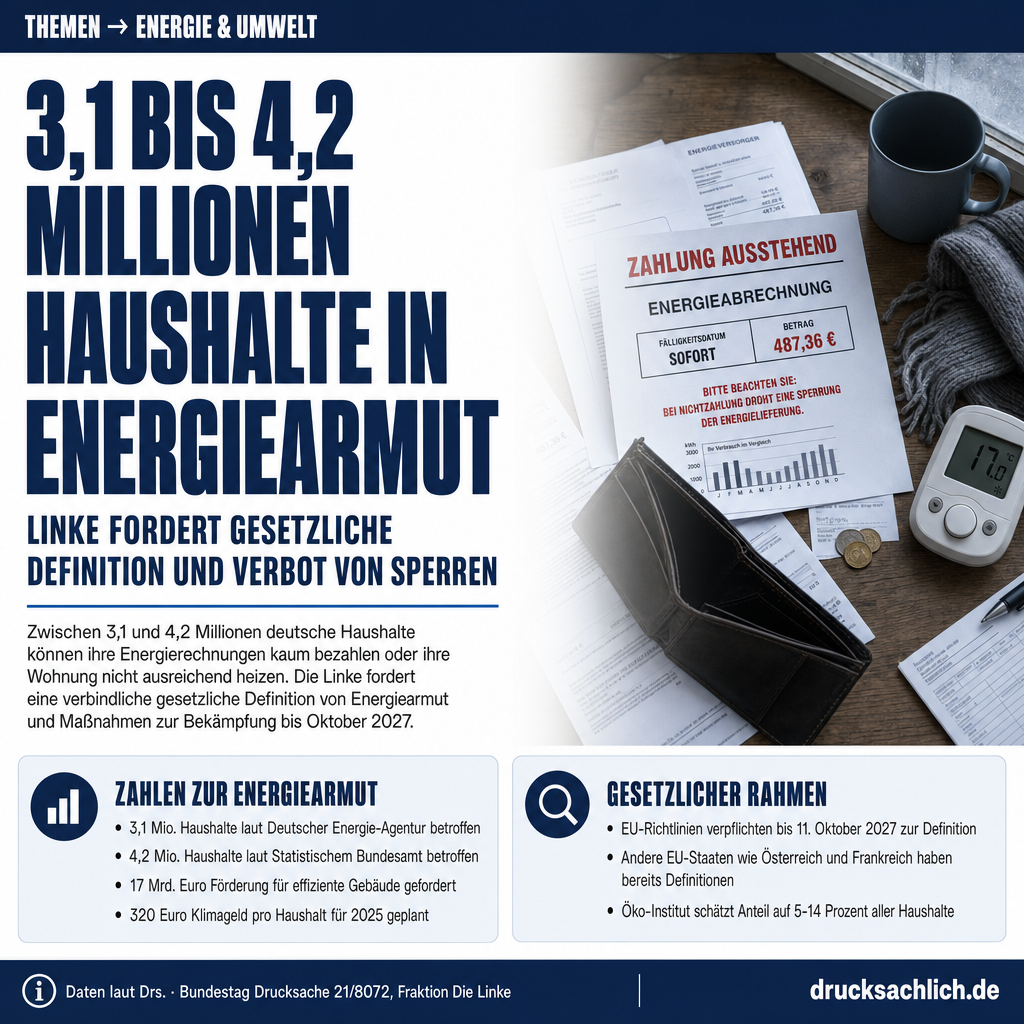 Infografik BT-Drs. 21/8072