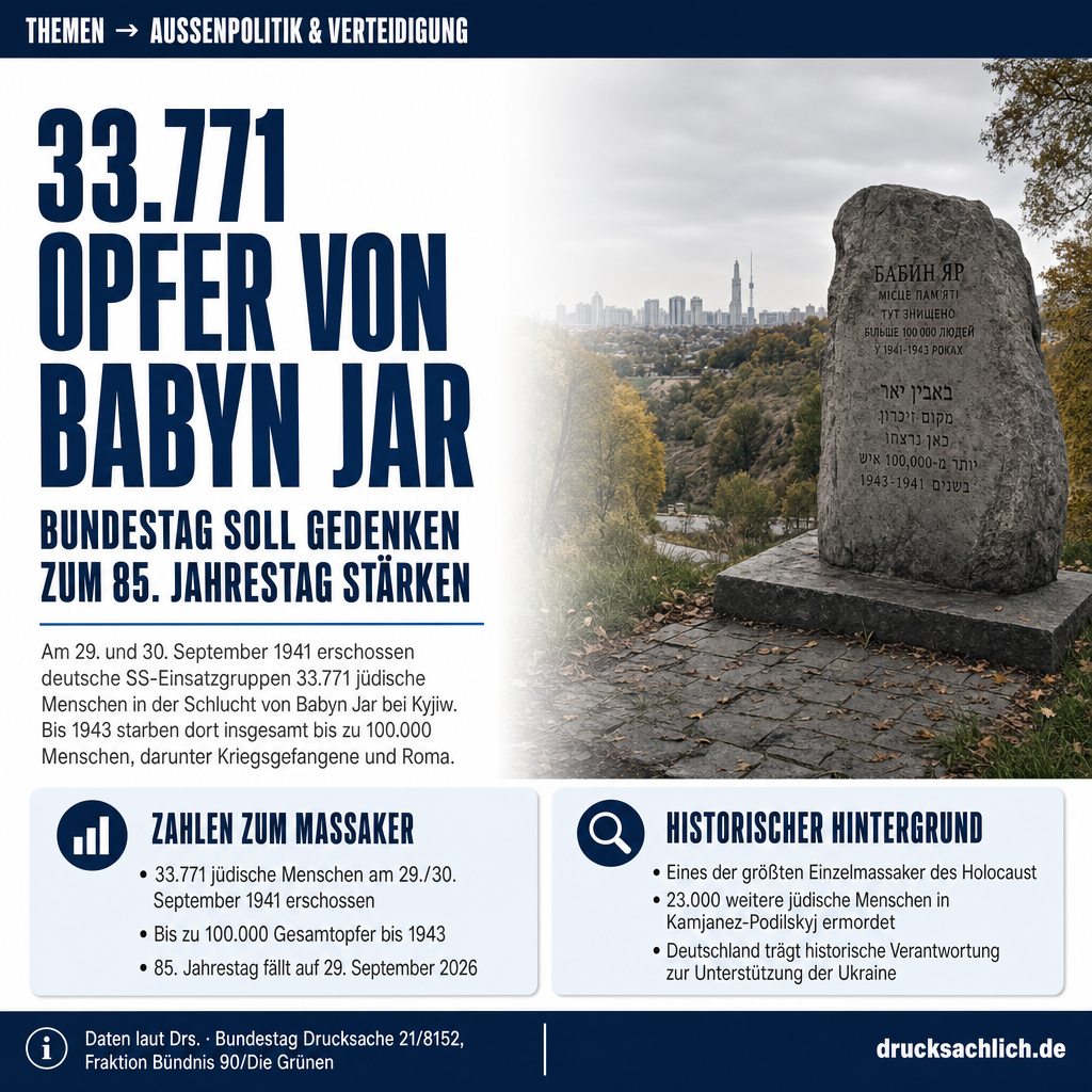 Infografik BT-Drs. 21/8152
