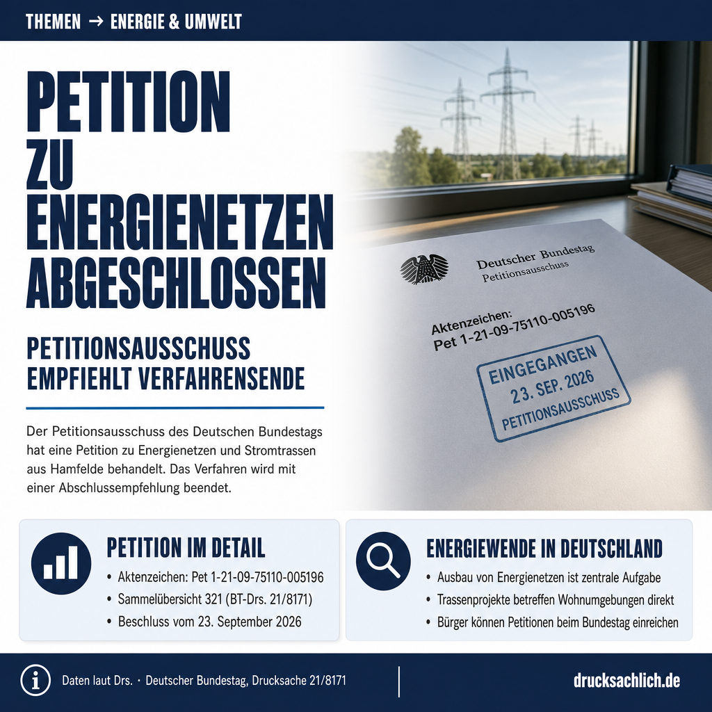 Petition zu Energienetzen: Verfahren abgeschlossen