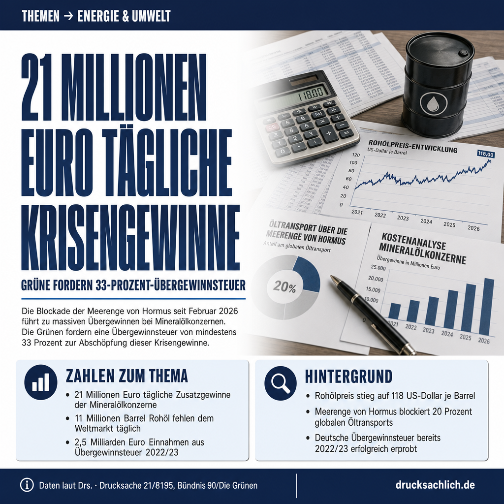 Übergewinnsteuer: Grüne fordern 33% auf Krisengewinne