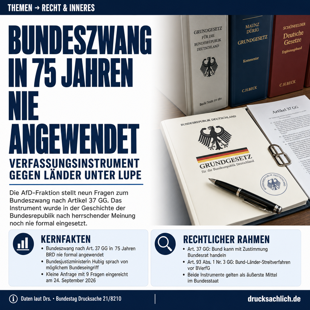 Infografik BT-Drs. 21/8210