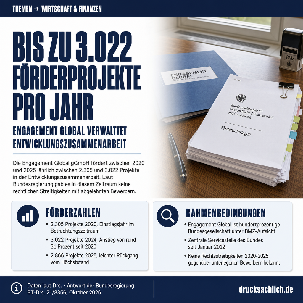 Infografik BT-Drs. 21/8356