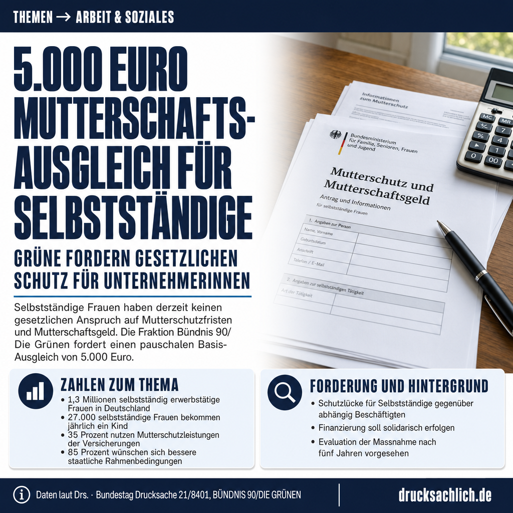 Infografik BT-Drs. 21/8401