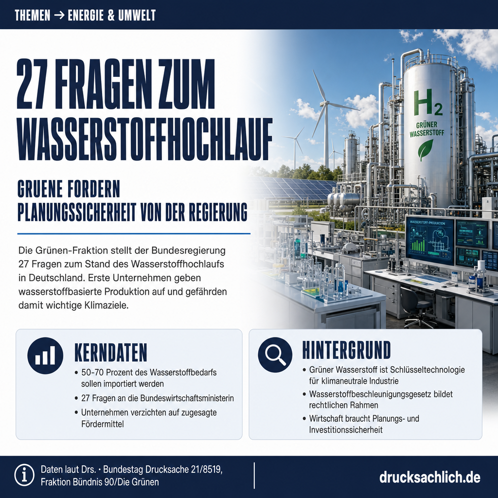 Infografik BT-Drs. 21/8519